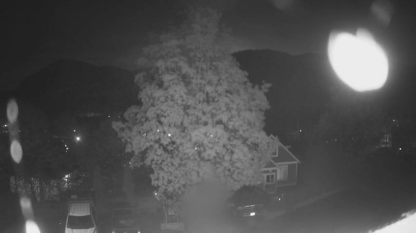 Mt. Hayes Image