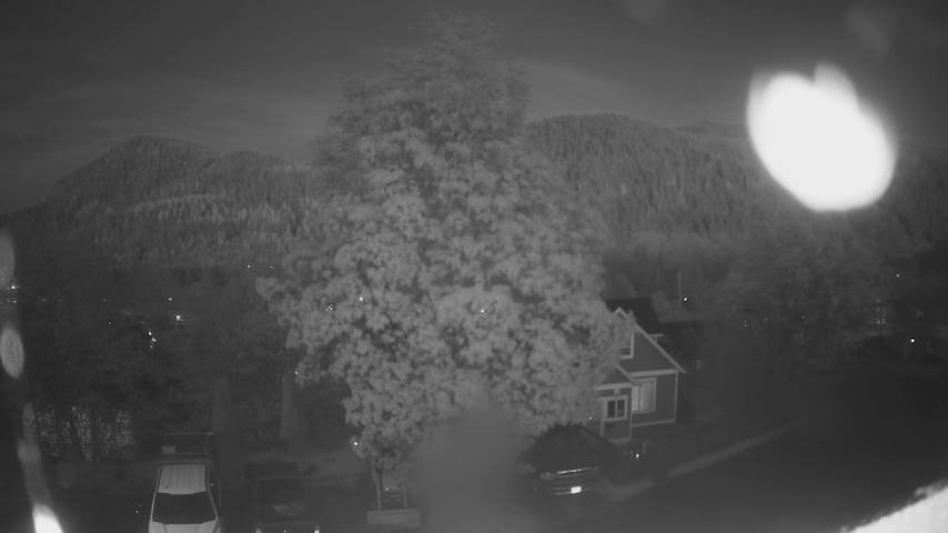 Mt. Hayes Image