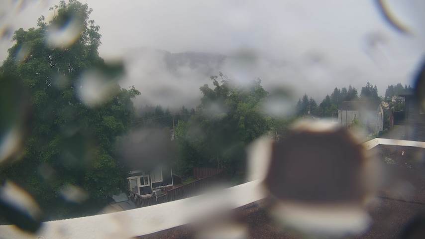 Mt. Hayes Image