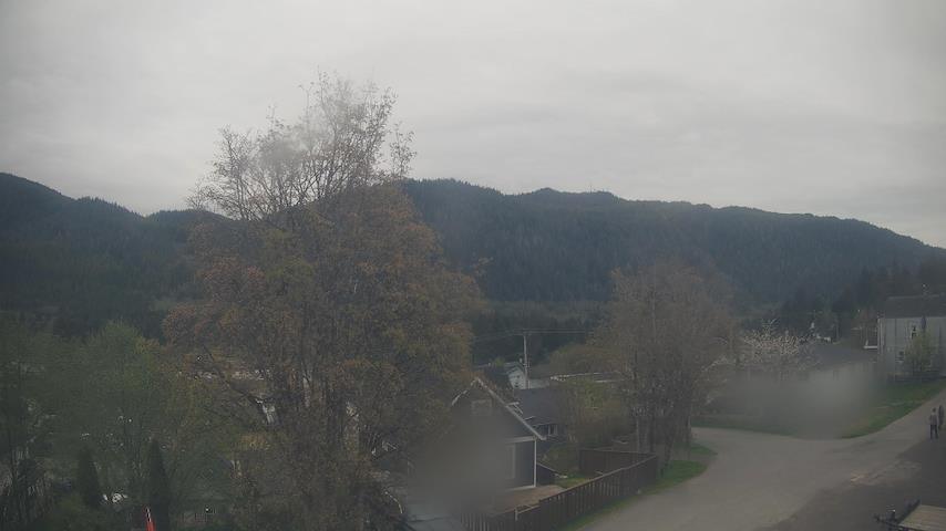 Mt. Hayes Image