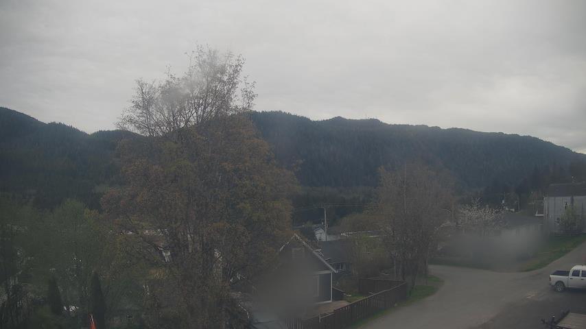 Mt. Hayes Image