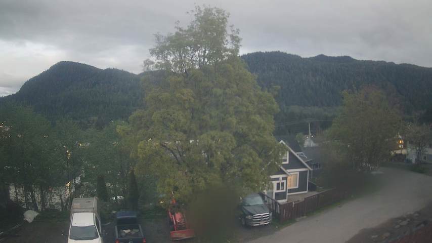 Mt. Hayes Image