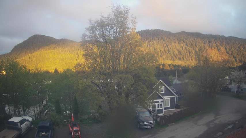 Mt. Hayes Image
