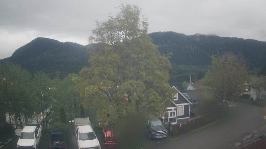 Mt. Hayes Image