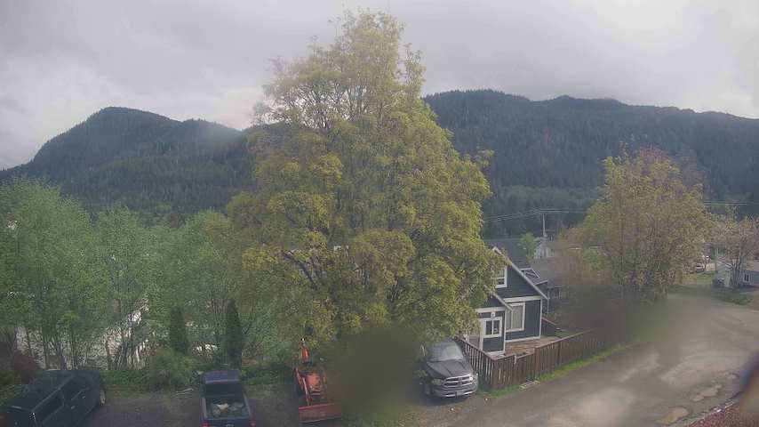 Mt. Hayes Image
