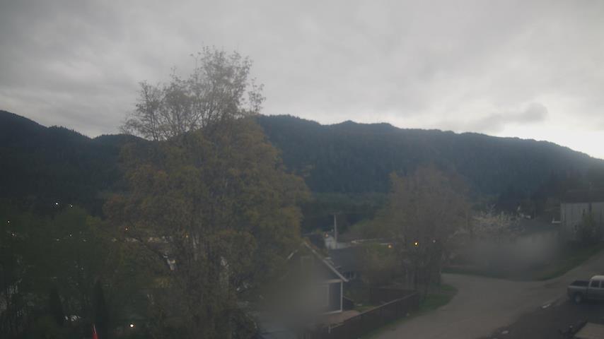 Mt. Hayes Image