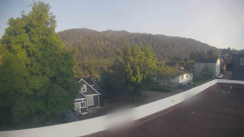 Mt. Hayes Image