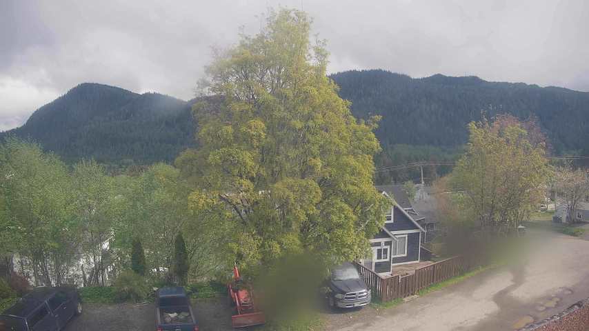 Mt. Hayes Image