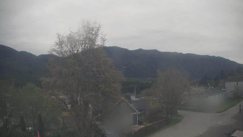 Mt. Hayes Image