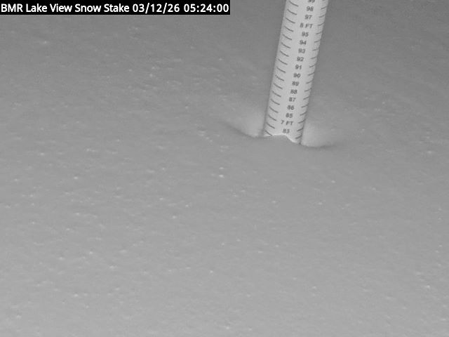 Lakeview Snow Depth Image