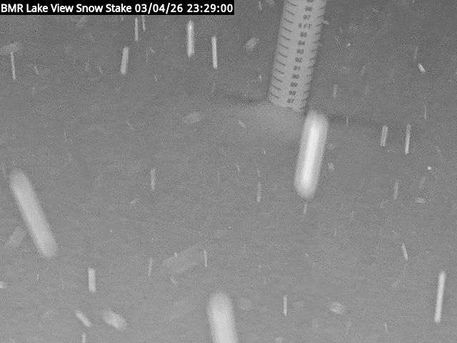 Lakeview Snow Depth Image