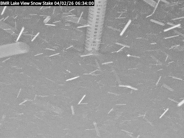 Lakeview Snow Depth Image