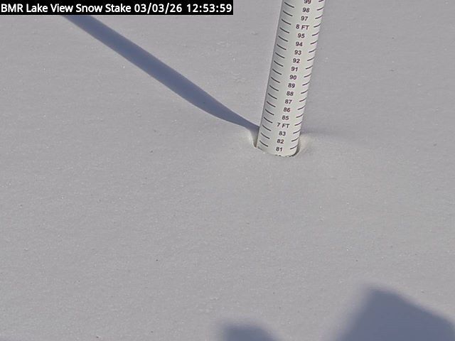 Lakeview Snow Depth Image