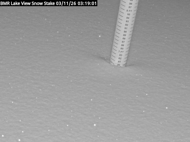 Lakeview Snow Depth Image