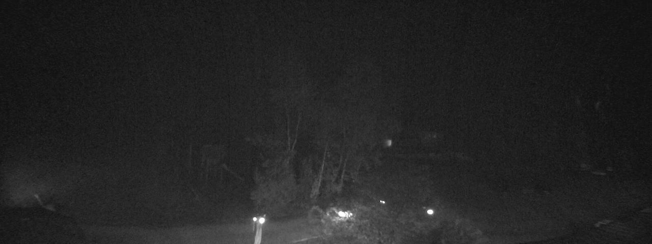 Bergrestaurant Gfellen, Finsterwald Image