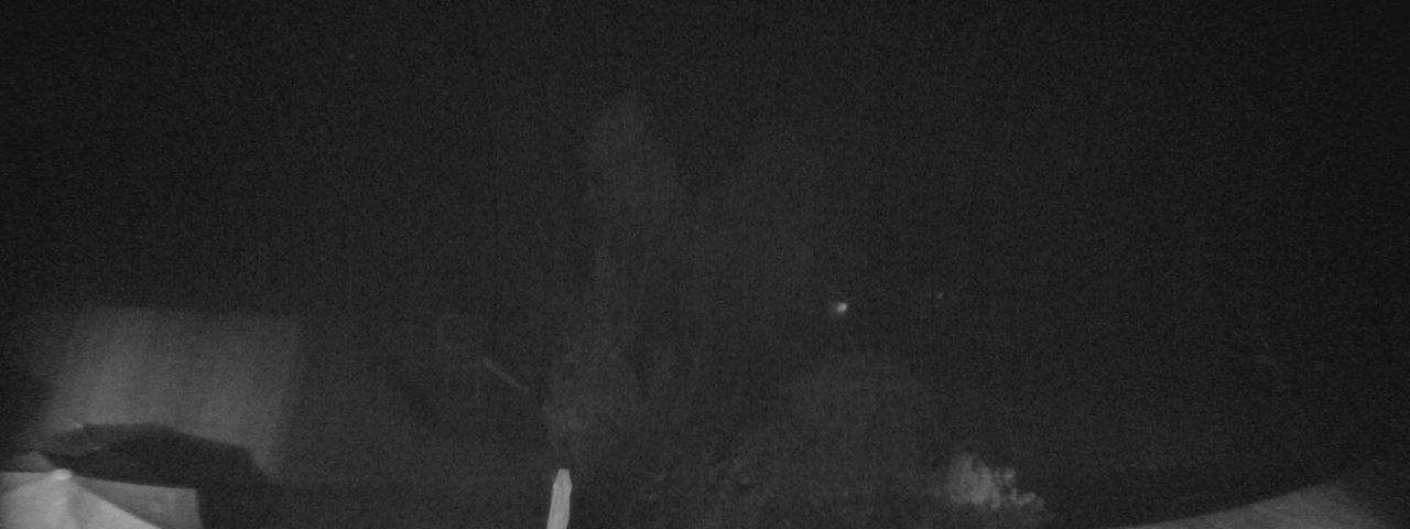 Bergrestaurant Gfellen, Finsterwald Image