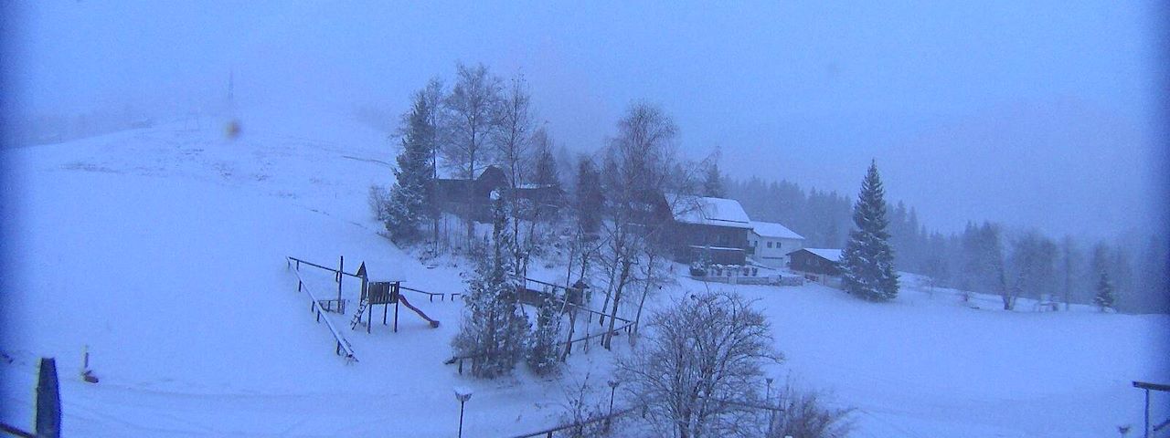 Bergrestaurant Gfellen, Finsterwald Image