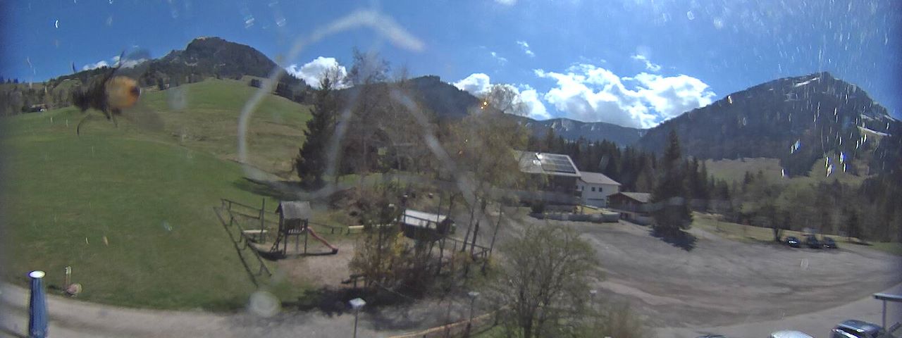 Bergrestaurant Gfellen, Finsterwald Image