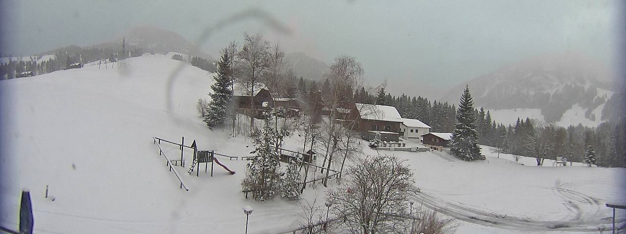 Bergrestaurant Gfellen, Finsterwald Image