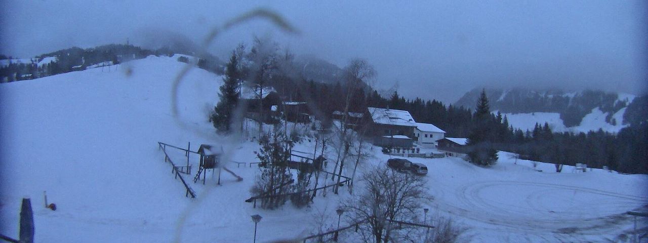 Bergrestaurant Gfellen, Finsterwald Image