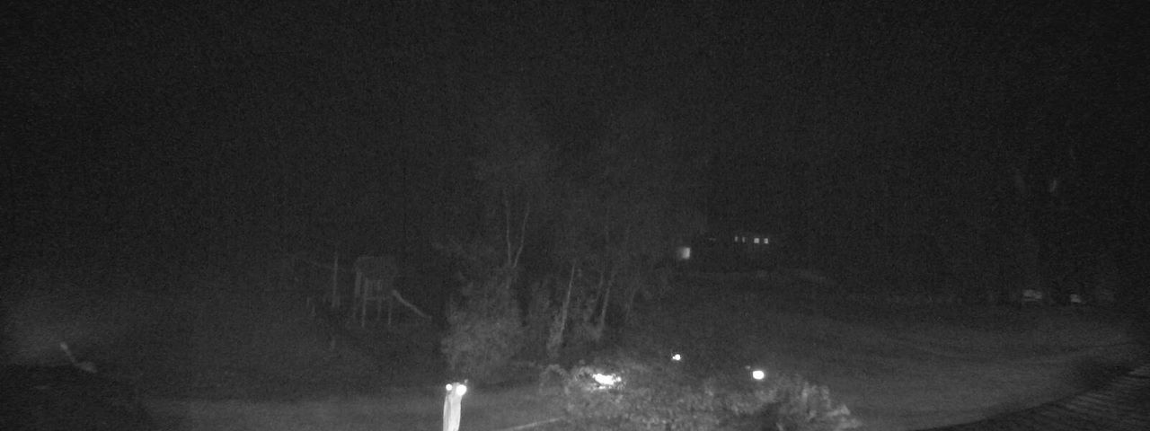 Bergrestaurant Gfellen, Finsterwald Image