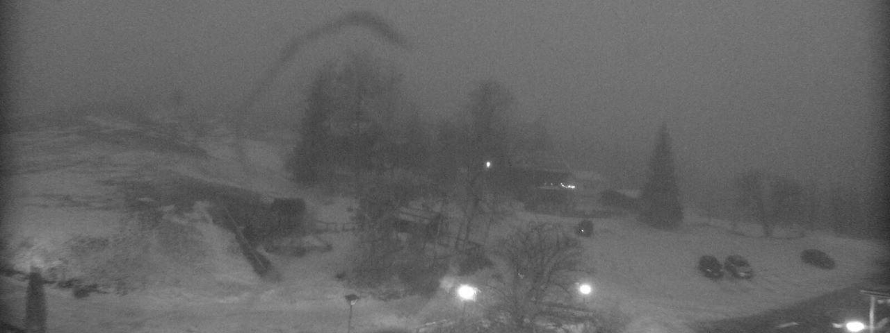 Bergrestaurant Gfellen, Finsterwald Image