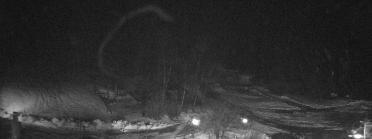 Bergrestaurant Gfellen, Finsterwald Image