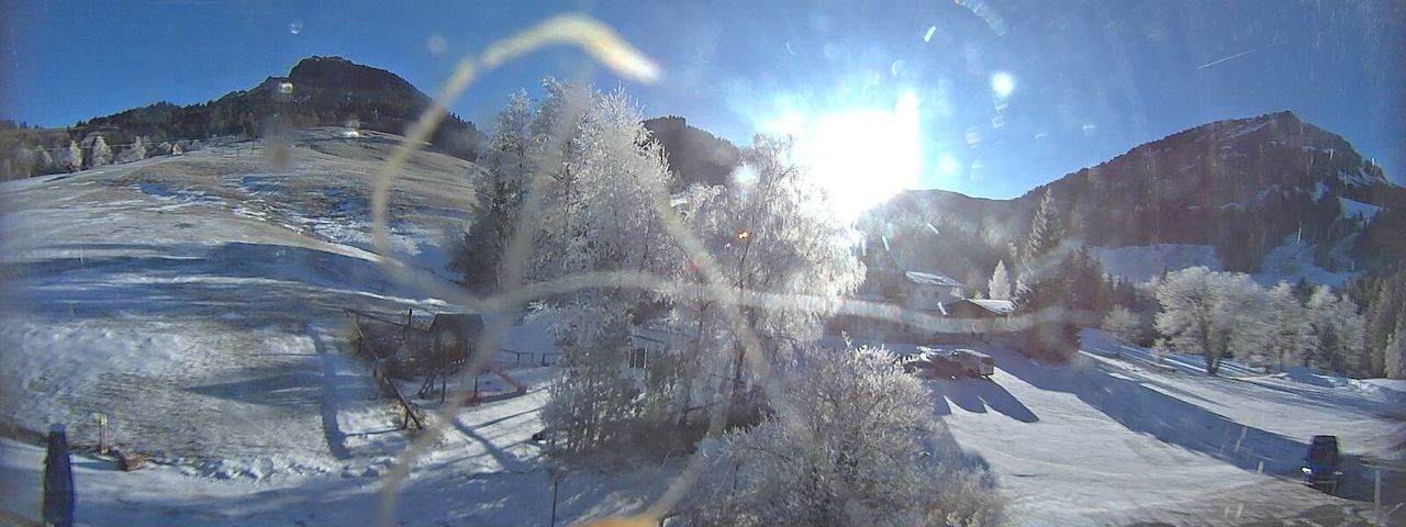 Bergrestaurant Gfellen, Finsterwald Image