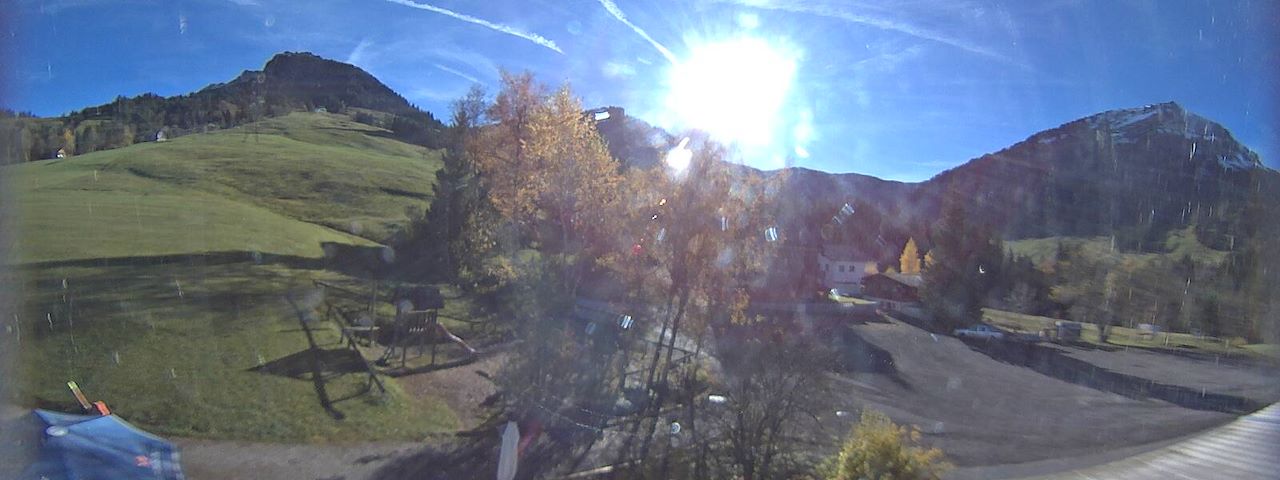 Bergrestaurant Gfellen, Finsterwald Image