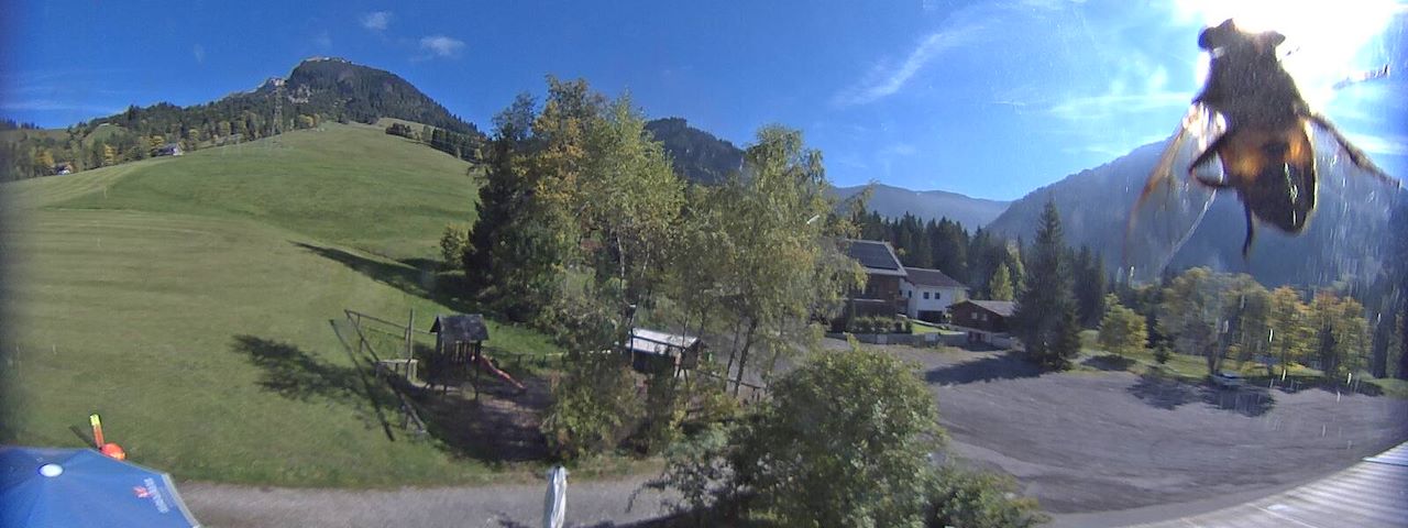 Bergrestaurant Gfellen, Finsterwald Image