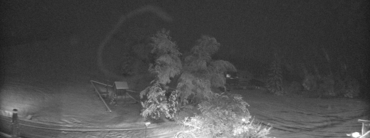 Bergrestaurant Gfellen, Finsterwald Image