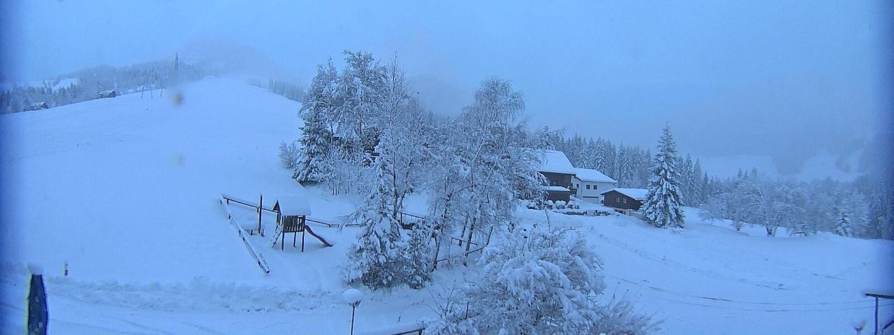 Bergrestaurant Gfellen, Finsterwald Image