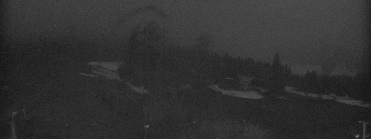 Bergrestaurant Gfellen, Finsterwald Image