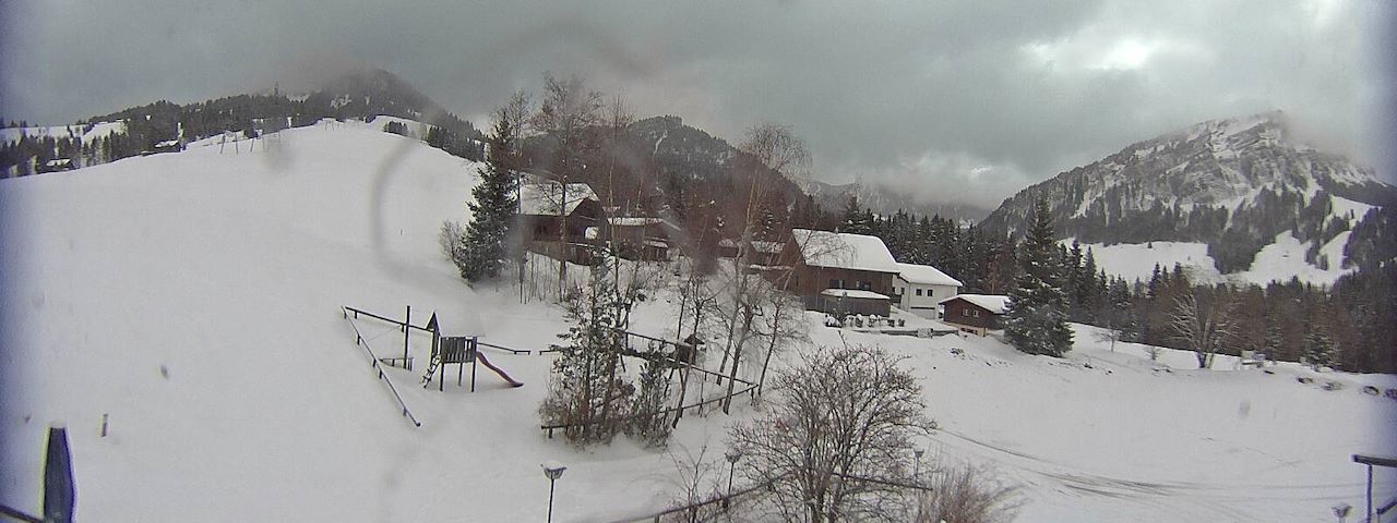 Bergrestaurant Gfellen, Finsterwald Image