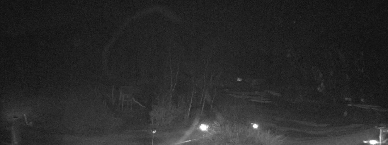 Bergrestaurant Gfellen, Finsterwald Image