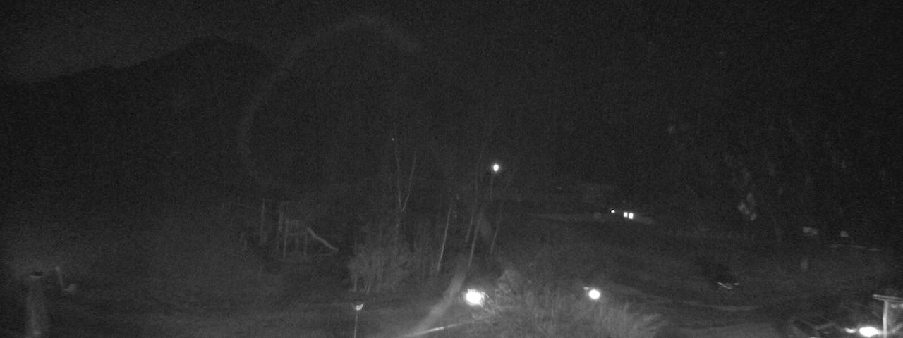 Bergrestaurant Gfellen, Finsterwald Image