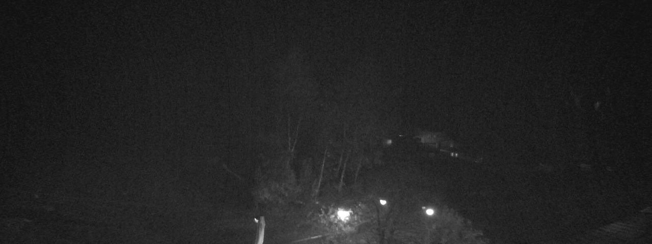 Bergrestaurant Gfellen, Finsterwald Image