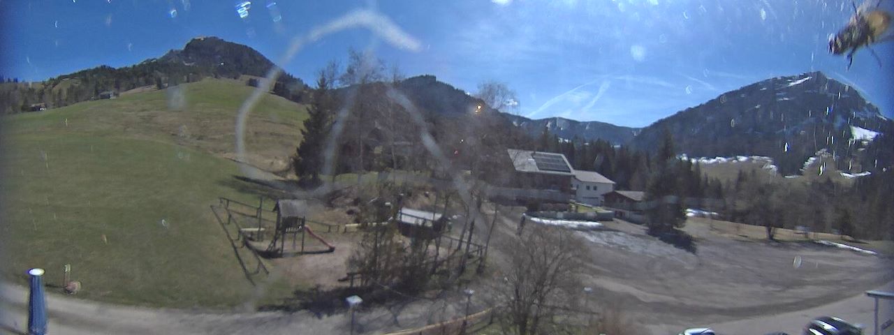 Bergrestaurant Gfellen, Finsterwald Image