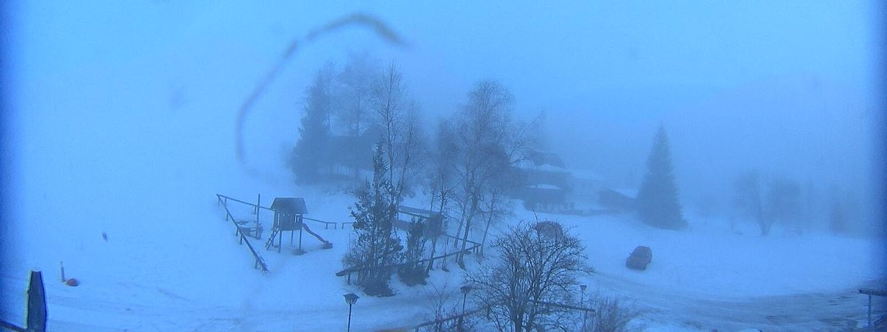 Bergrestaurant Gfellen, Finsterwald Image