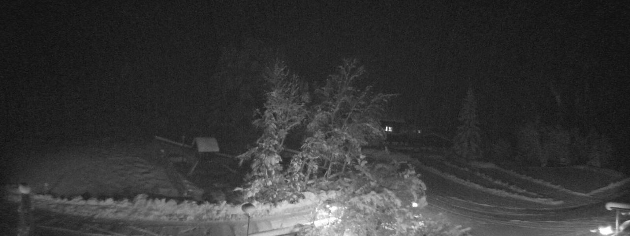 Bergrestaurant Gfellen, Finsterwald Image