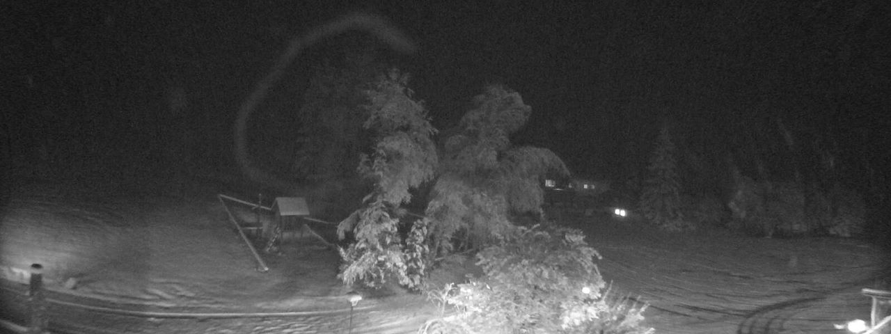 Bergrestaurant Gfellen, Finsterwald Image