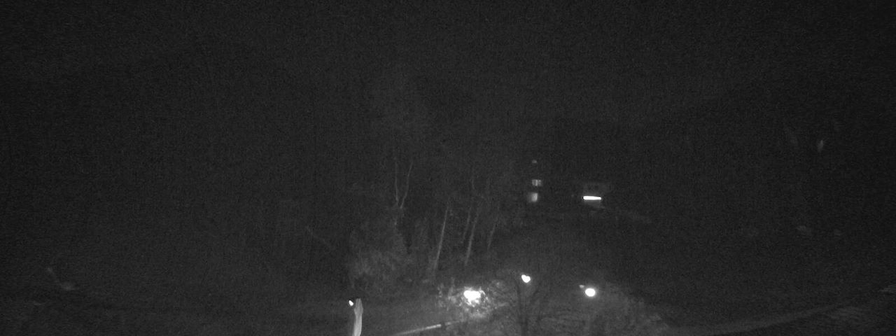 Bergrestaurant Gfellen, Finsterwald Image