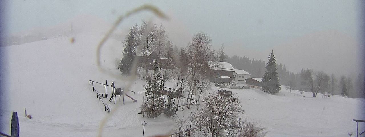 Bergrestaurant Gfellen, Finsterwald Image