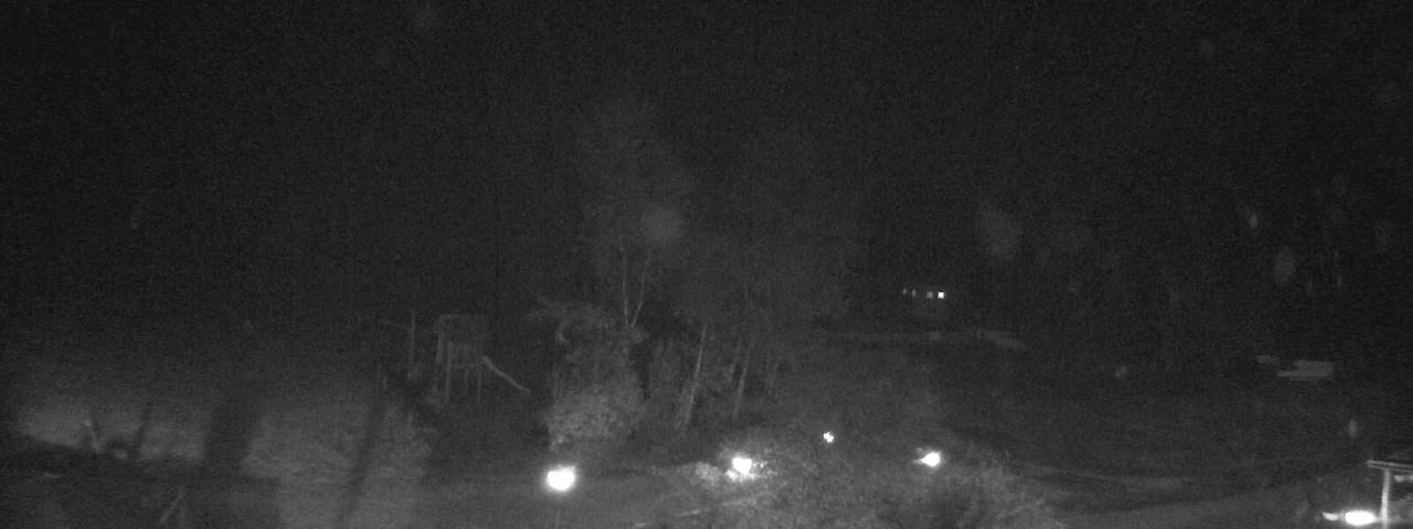 Live camera feed from Bergrestaurant Gfellen, Finsterwald in Finsterwald
