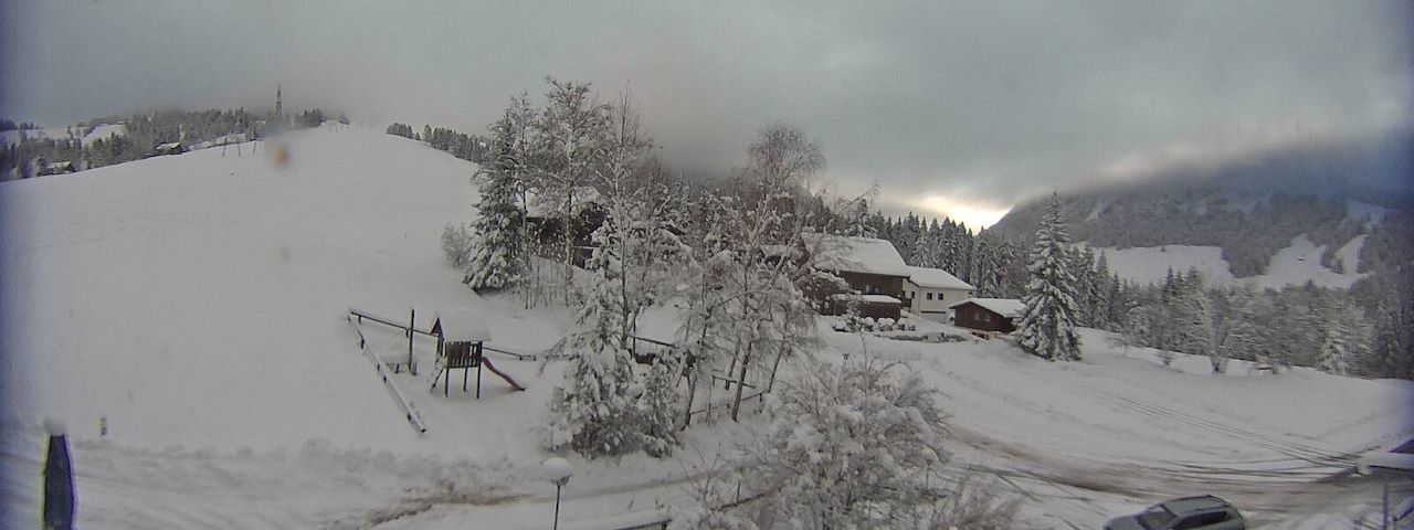 Bergrestaurant Gfellen, Finsterwald Image