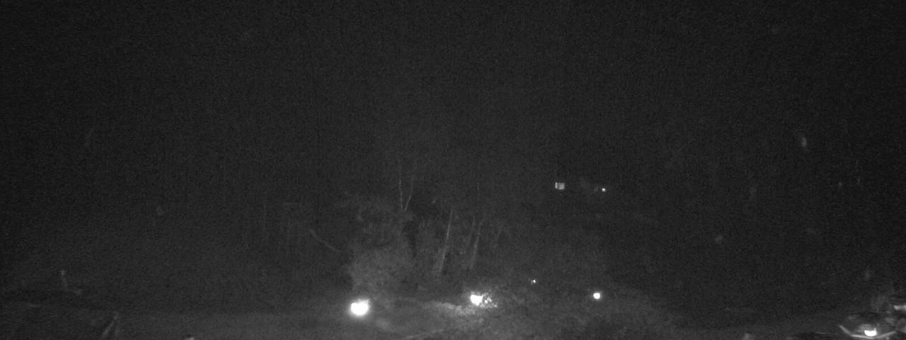 Live-kamerakanal från Bergrestaurant Gfellen, Finsterwald i Finsterwald